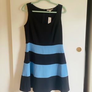 Loft A-line dress. NWT. Size 8